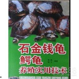 国产乌龟养殖视频