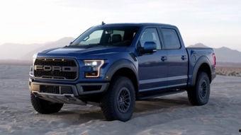 猛禽国产实拍图片视频大全,翱翔天际的雄鹰风采